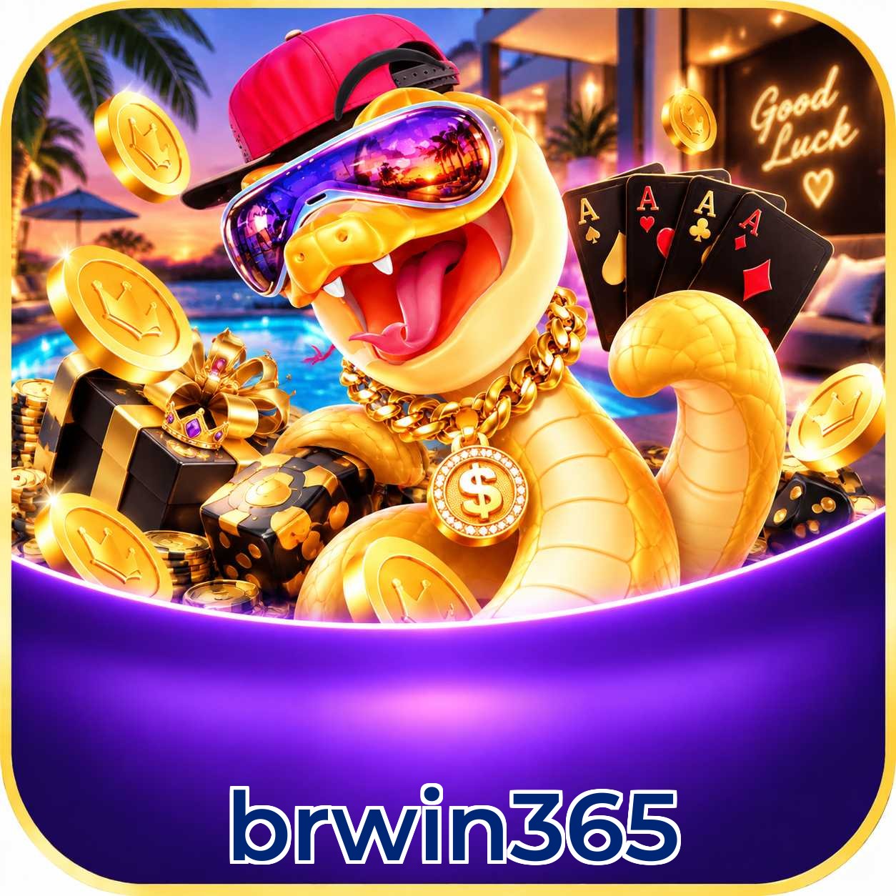 brwin365 App FAQ