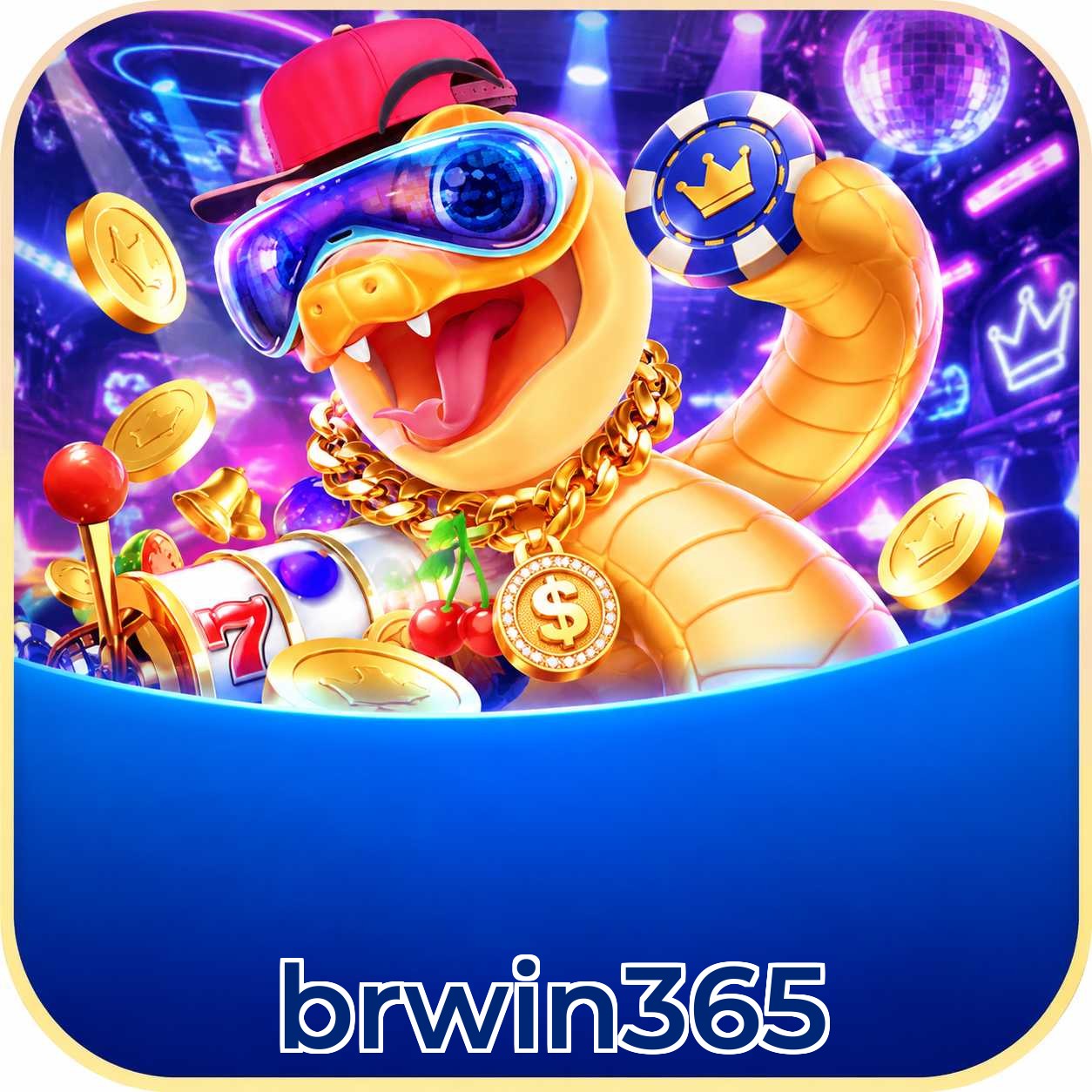 brwin365