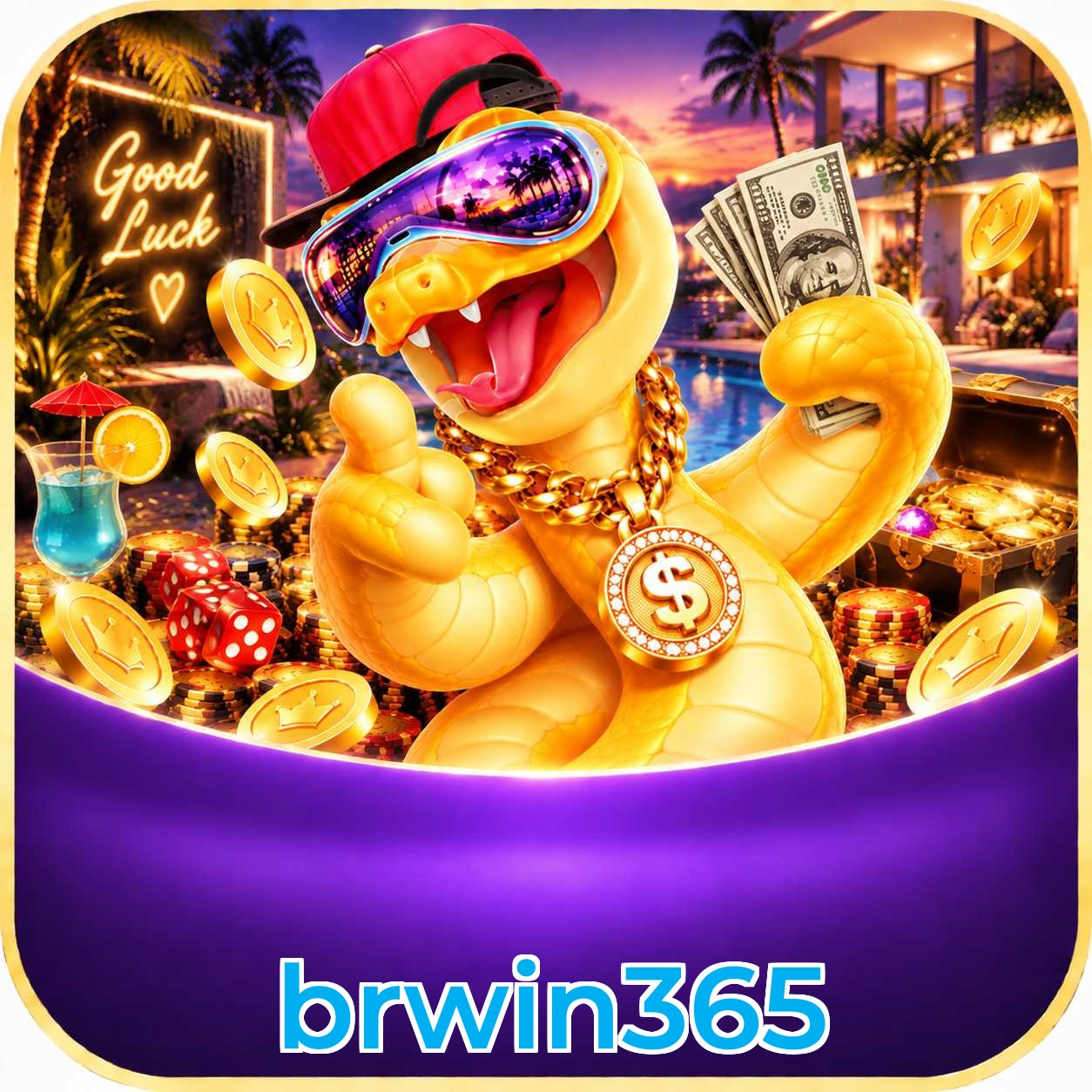 brwin365 Plataforma FAQ