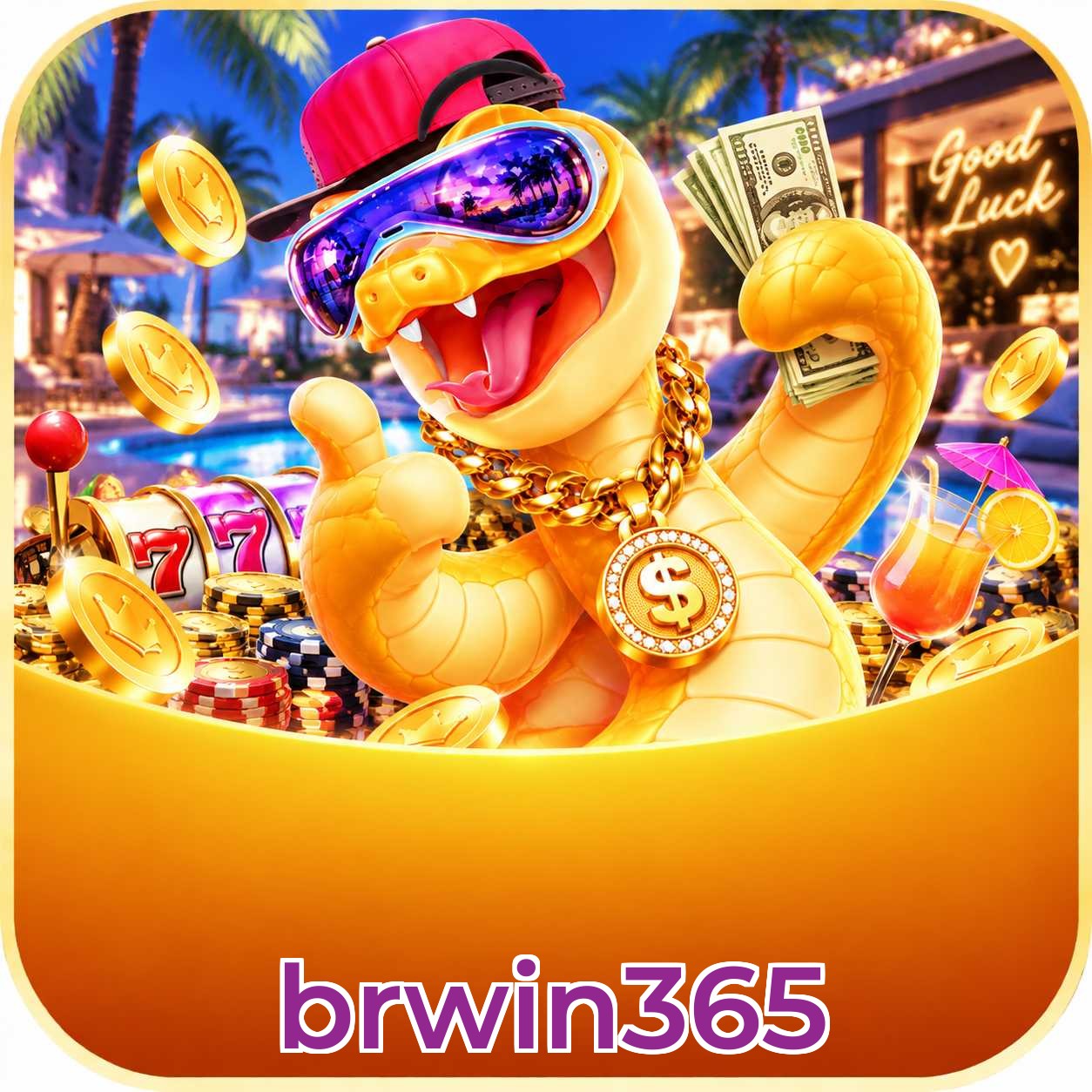 brwin365 Logo
